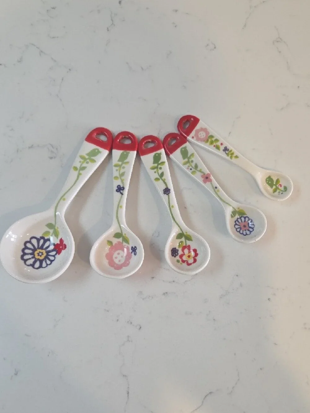Anthropologie Florie Ceramic Measuring Spoon Set with Red Handles
